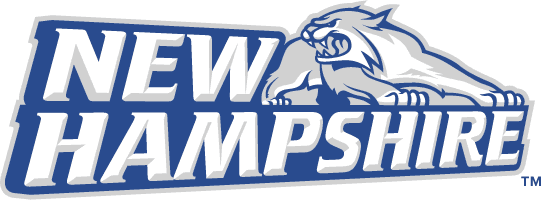 New Hampshire Wildcats 2000-Pres Alternate Logo iron on transfers for clothing